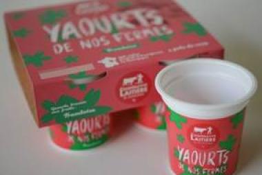 Eco conception développement d'une solution d'emballage pour yaourt | Conseil en packaging